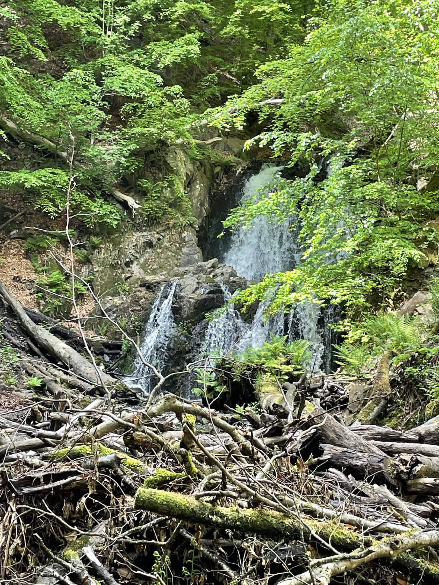 Vattenfall omgiven av frodig grönska