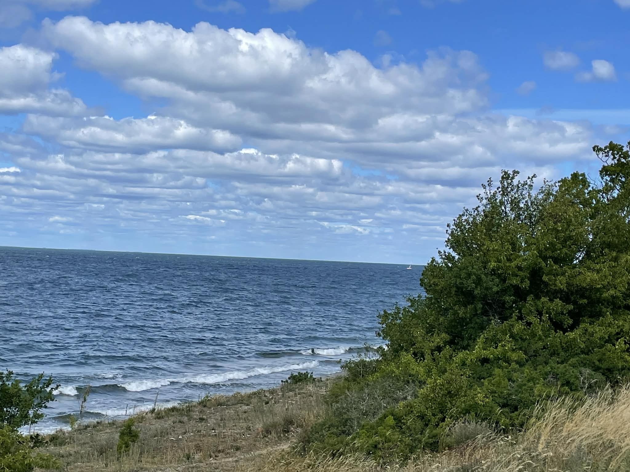 Havet med blå himmel och grön strandvegetation