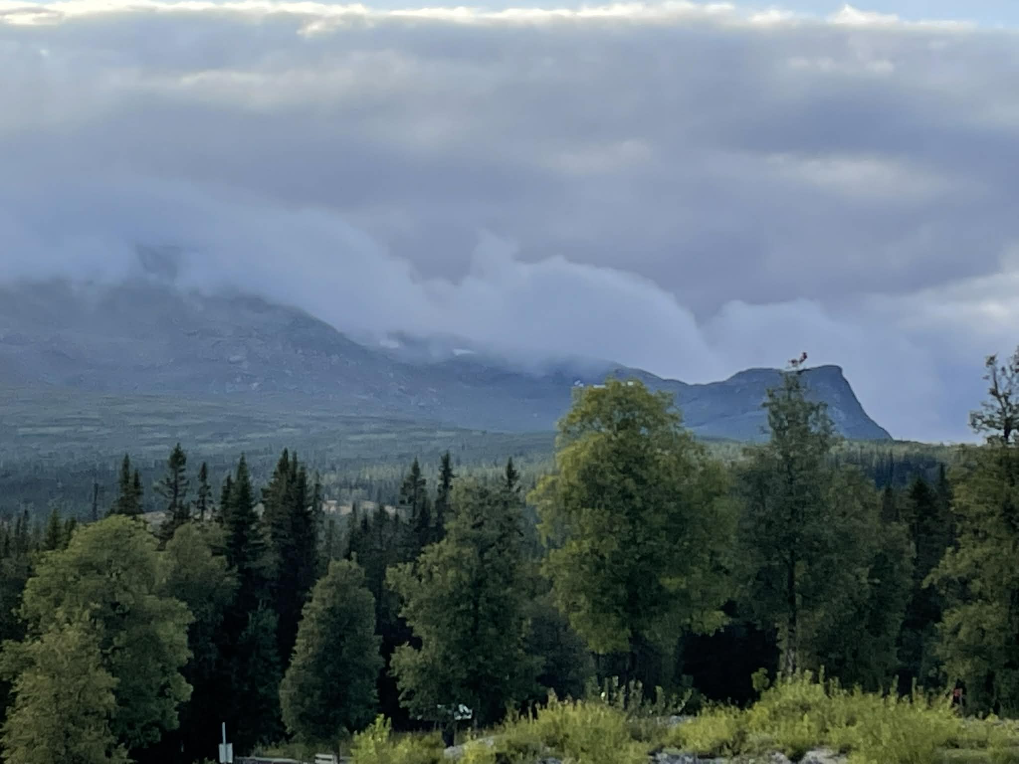 Fjälllandskap med grön skog och dramatisk himmel